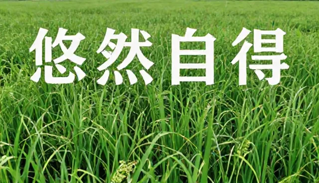账号代运营如何避免常见误区？
